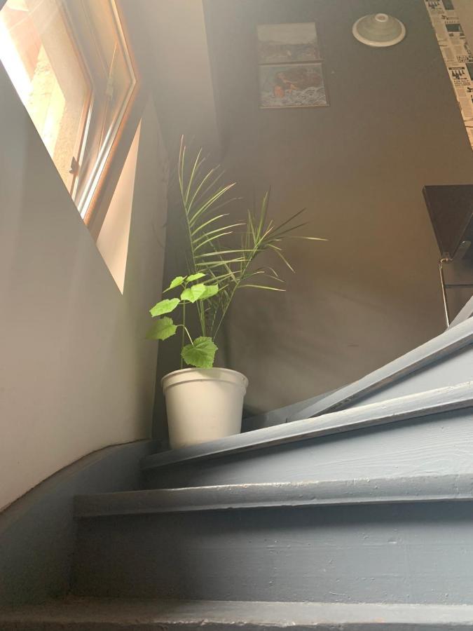 Trakia Street Apartment 플로브디프 외부 사진